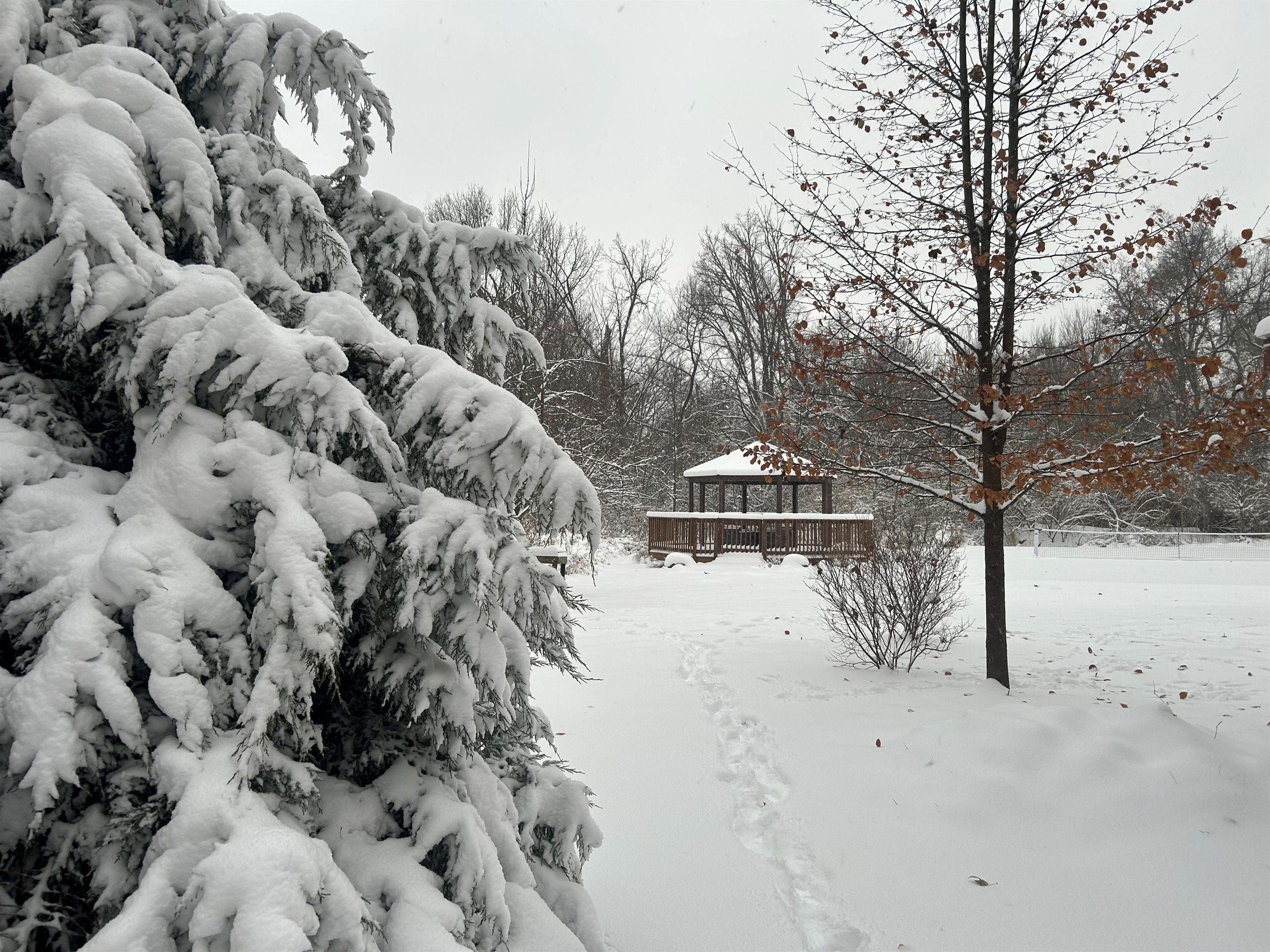 The covered gazebo is a place where you can set by a fire table and watch for deer.