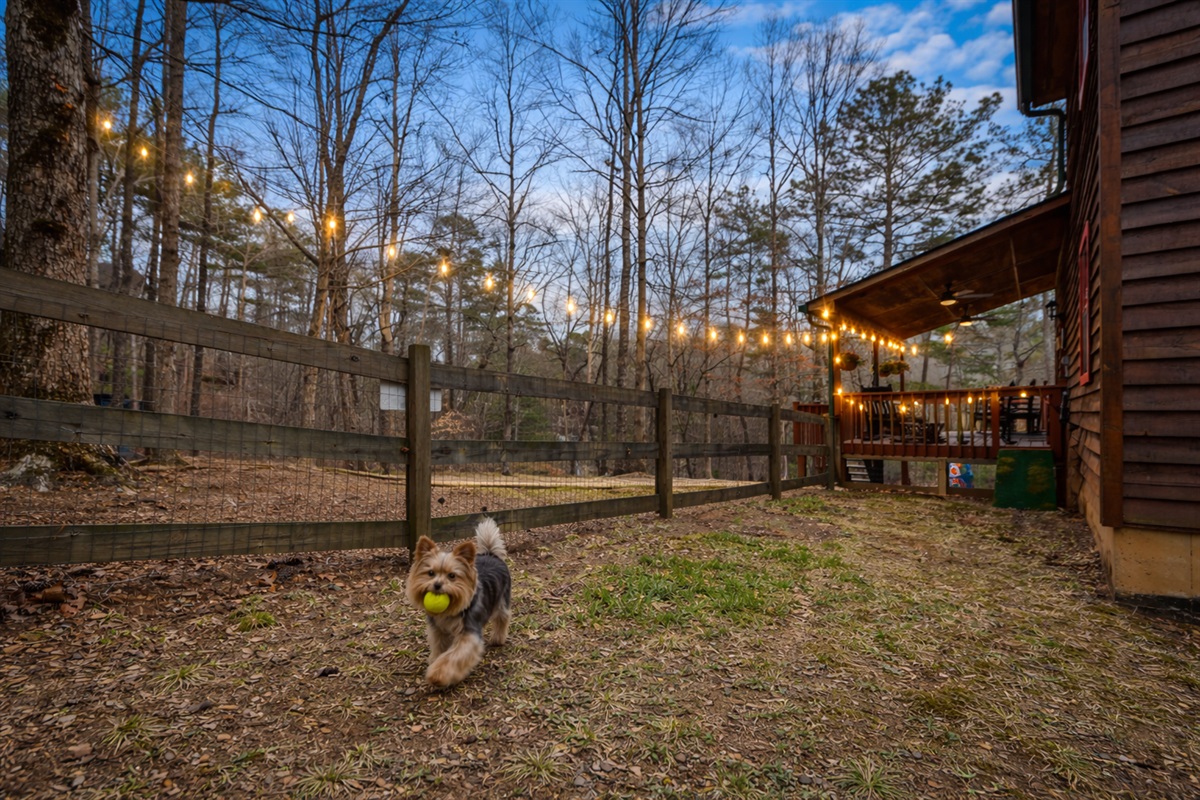 This dog-friendly property welcomes your furry companions and features a secure, fenced yard where they can play and explore safely.