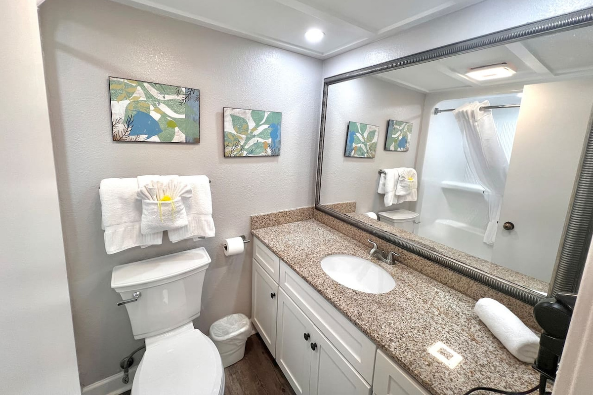 Guest Bathroom 