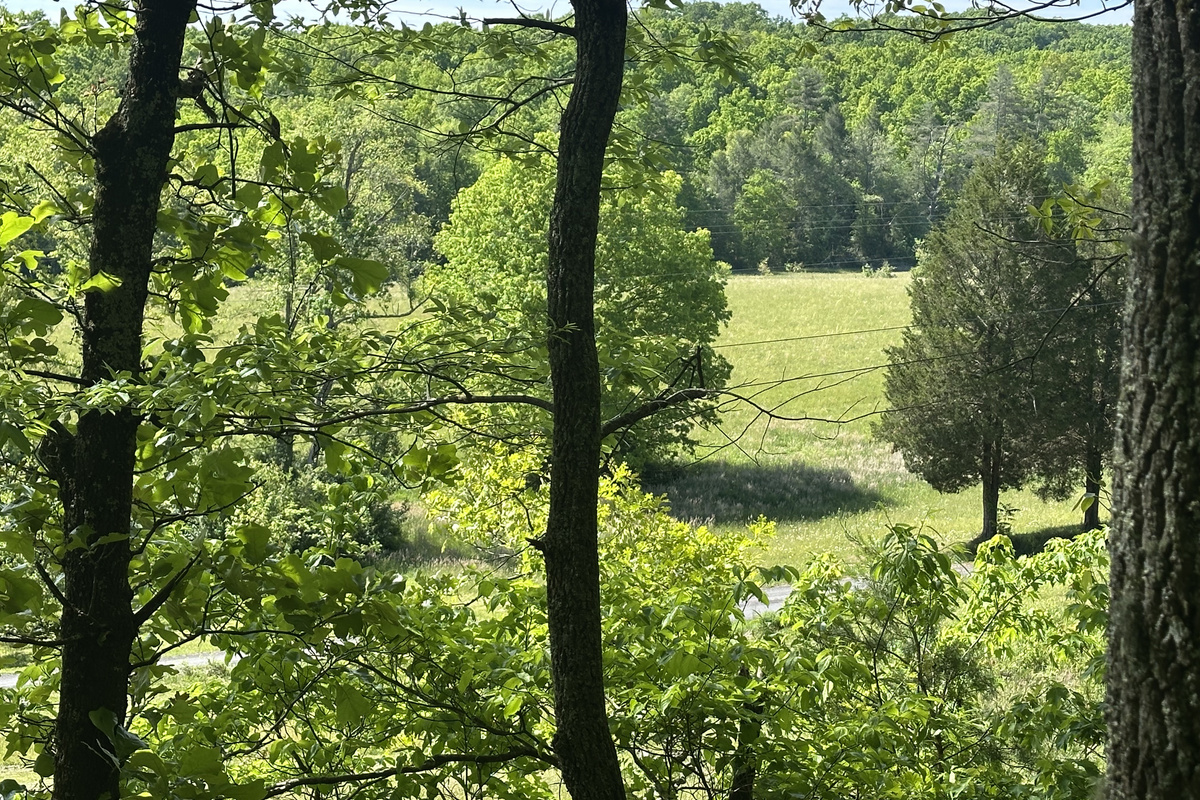 View of prairie from 25ft up in the tree canopy at the New Perspective platform