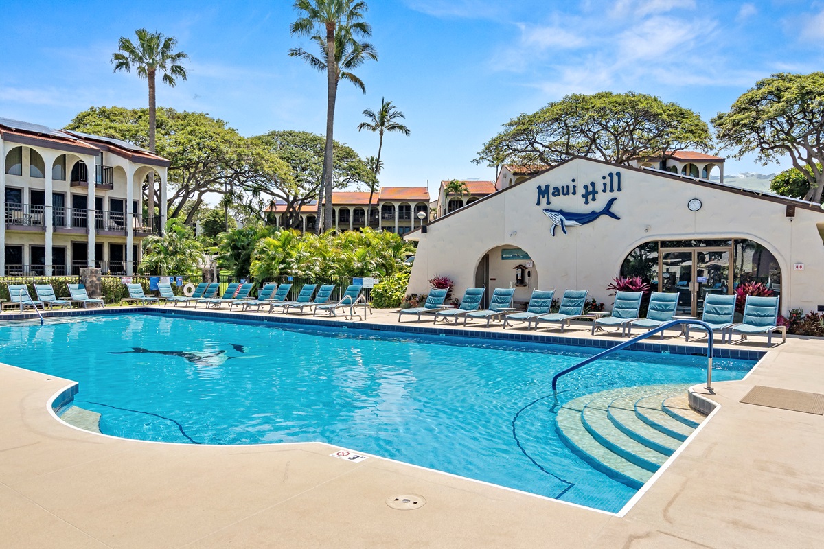 Plenty of lounge areas by the crystal clear blue pool