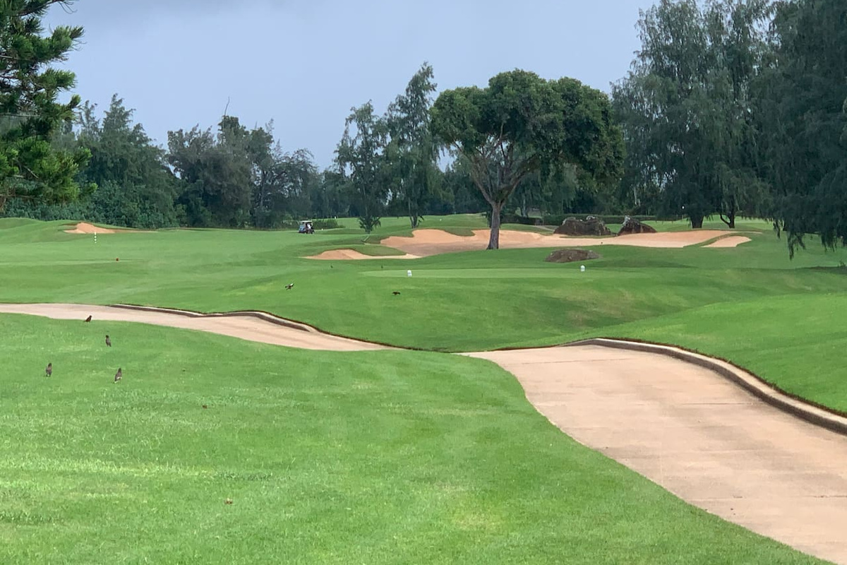 Turtle Bay golf course. 10 minutes from the condo.