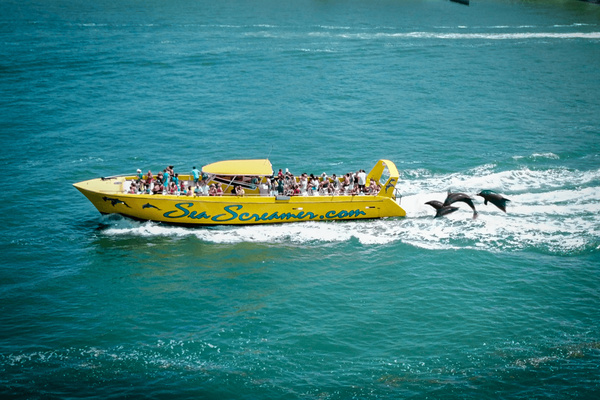 Sea Screamer cruises. Local-area attraction or activity; off-property and not included with your stay.