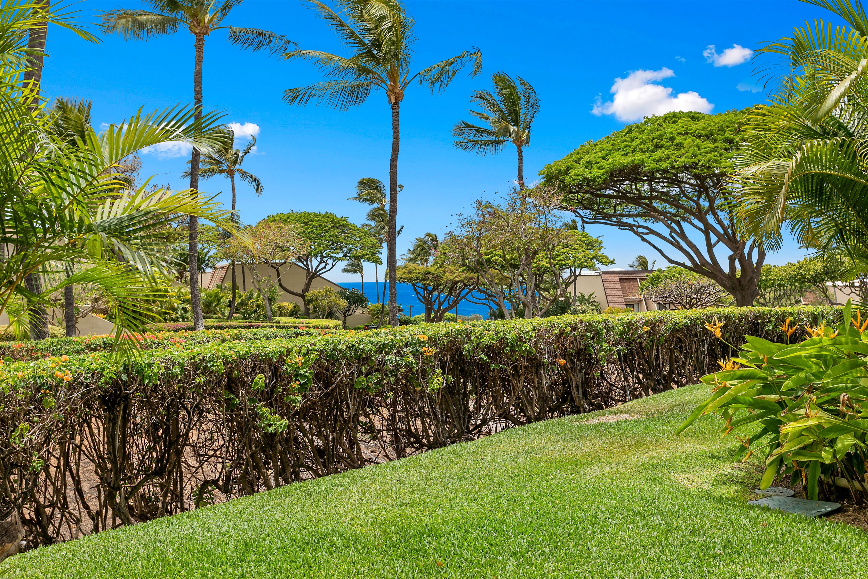 You saw the oceanview, right?