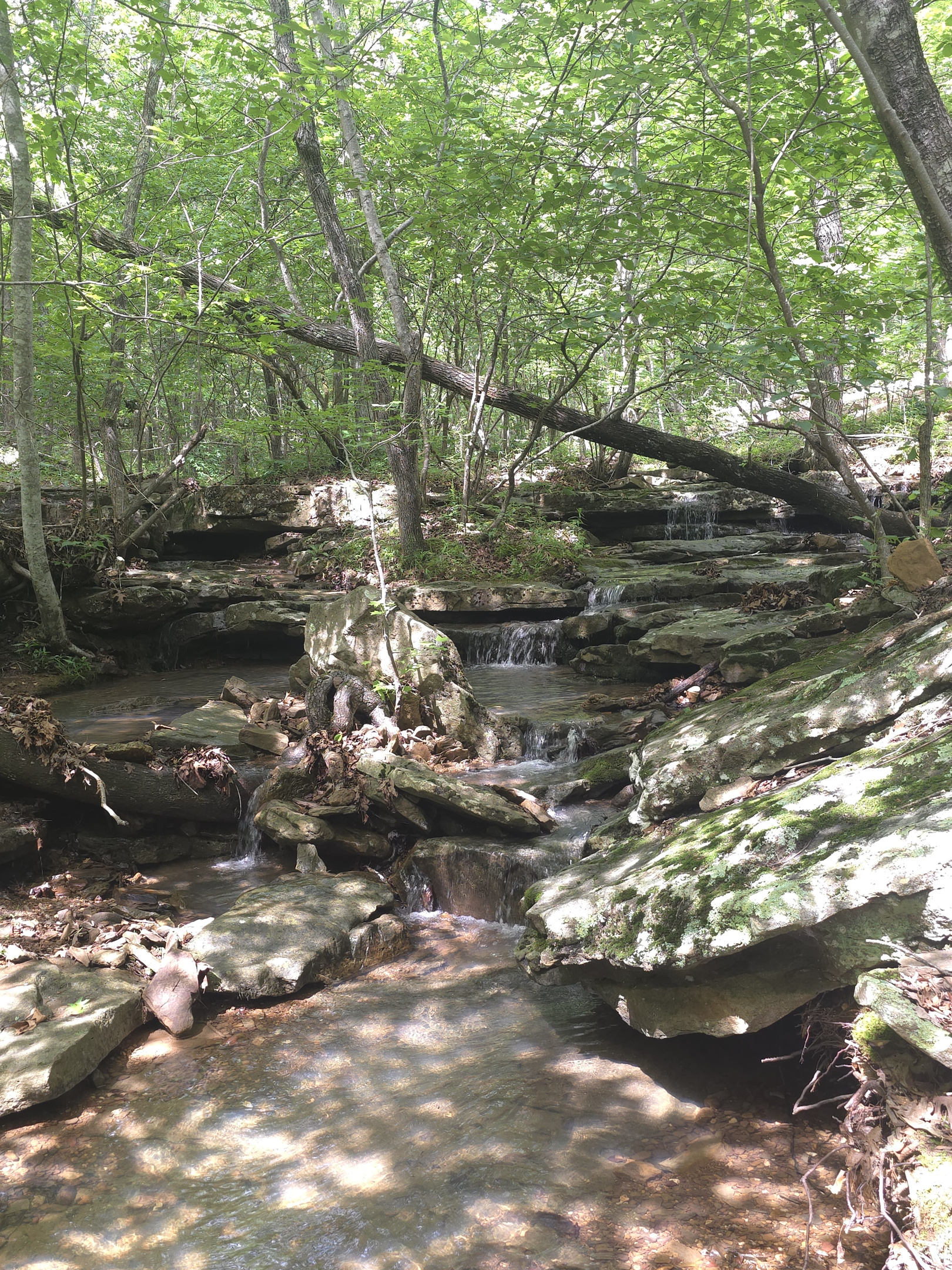 Waterfalls Next To The Cabin