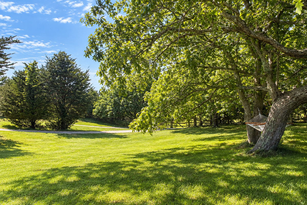 Large yard with shade trees