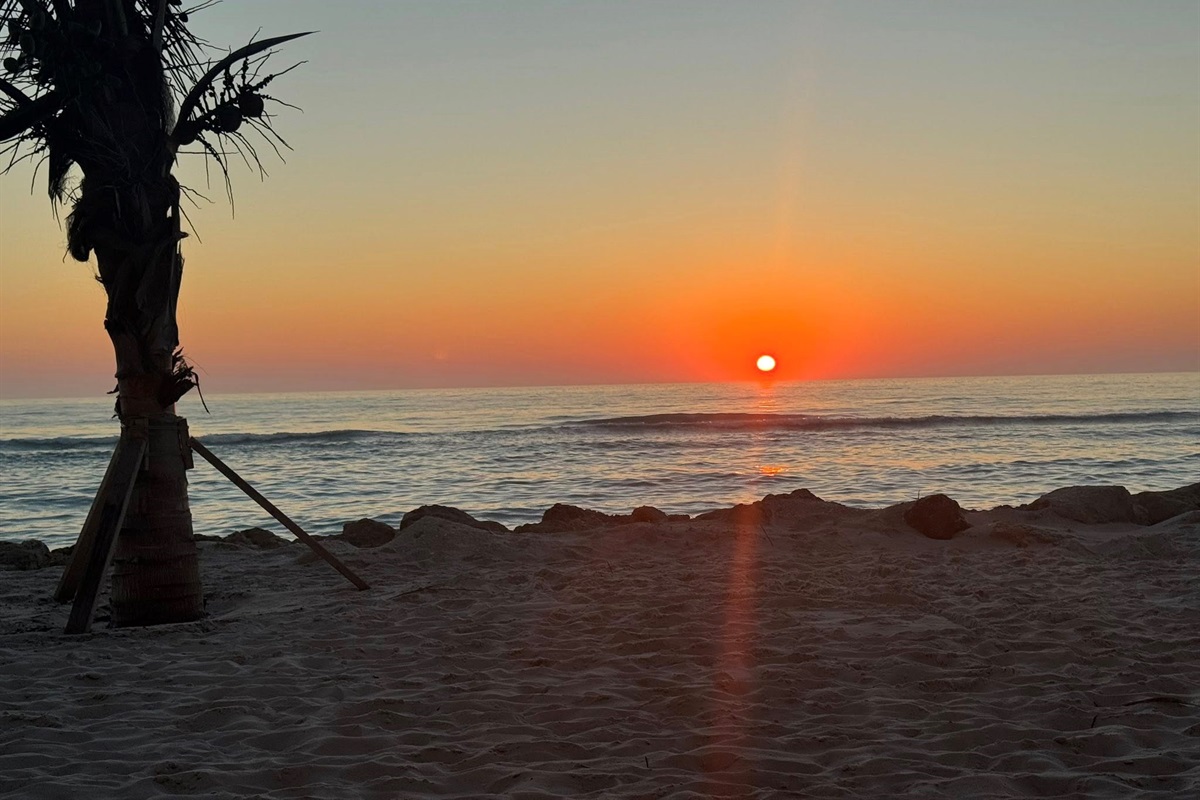 Our private walkway at sunset