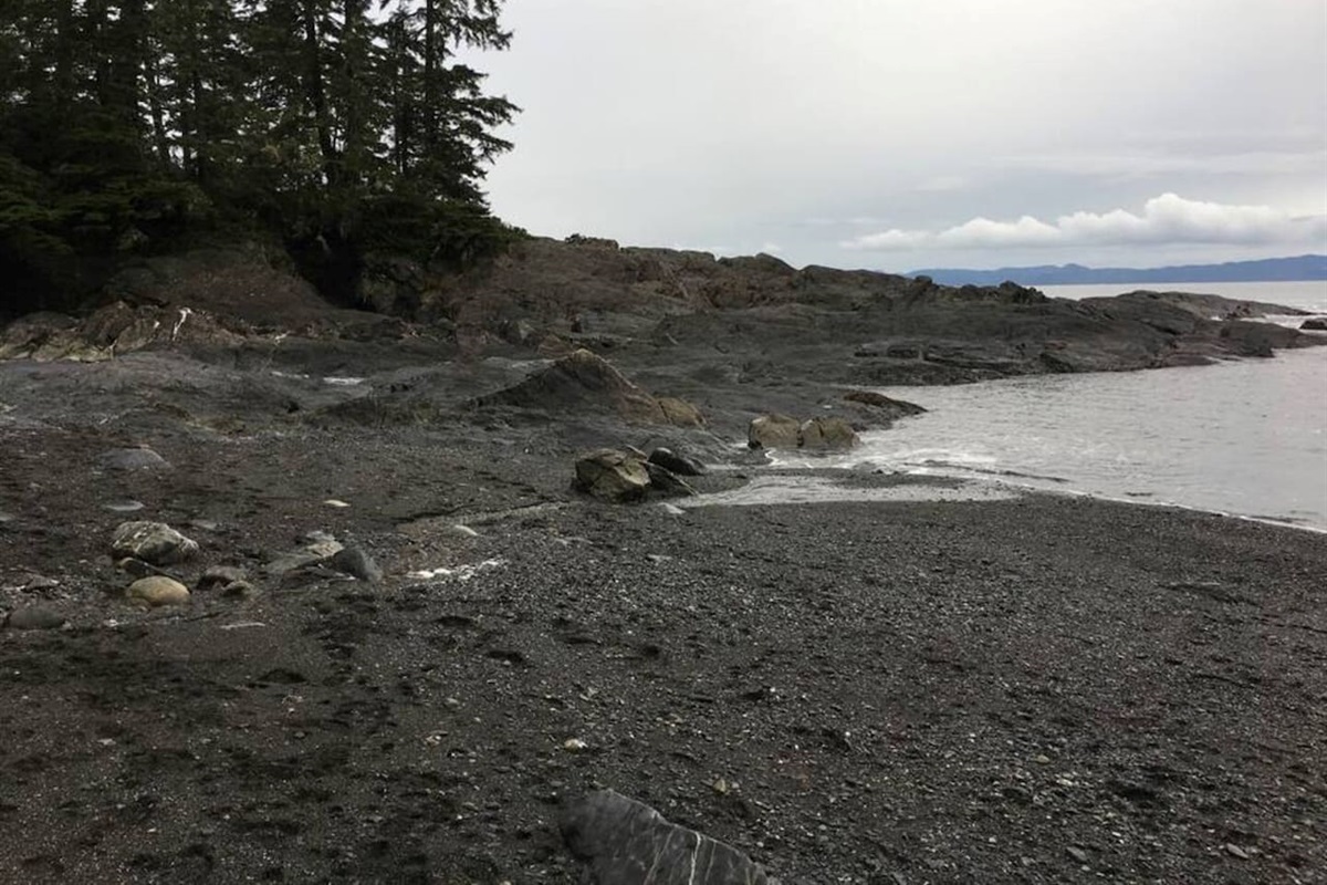 Botanical Beach 1