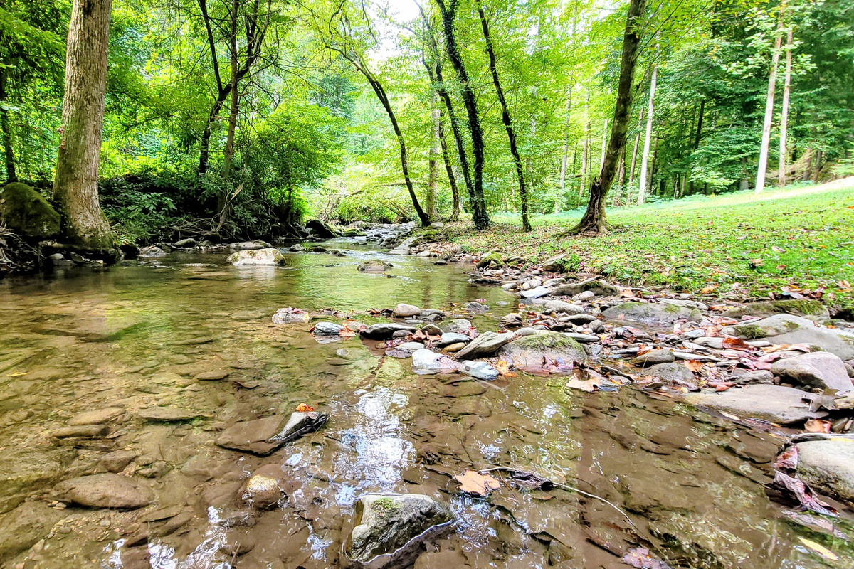 Cool Creek water - refreshing! 💦