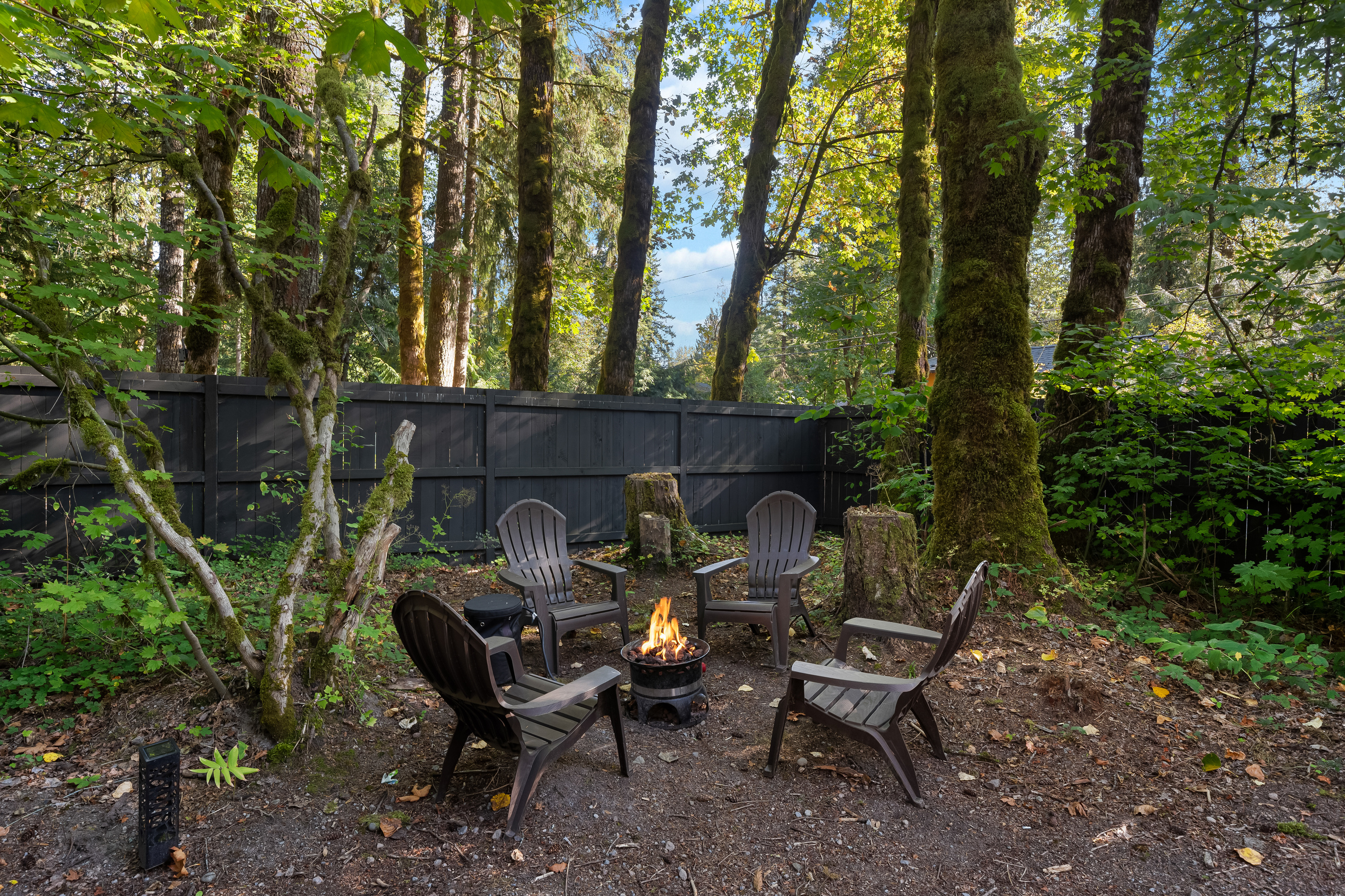 S'mores and stories — a private fire pit ringed by old-growth trees.