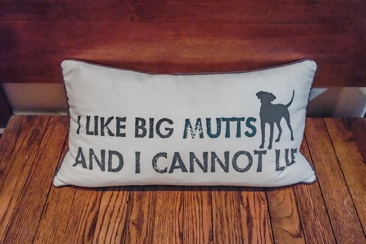 I like big mutts and i 2024 cannot lie pillow