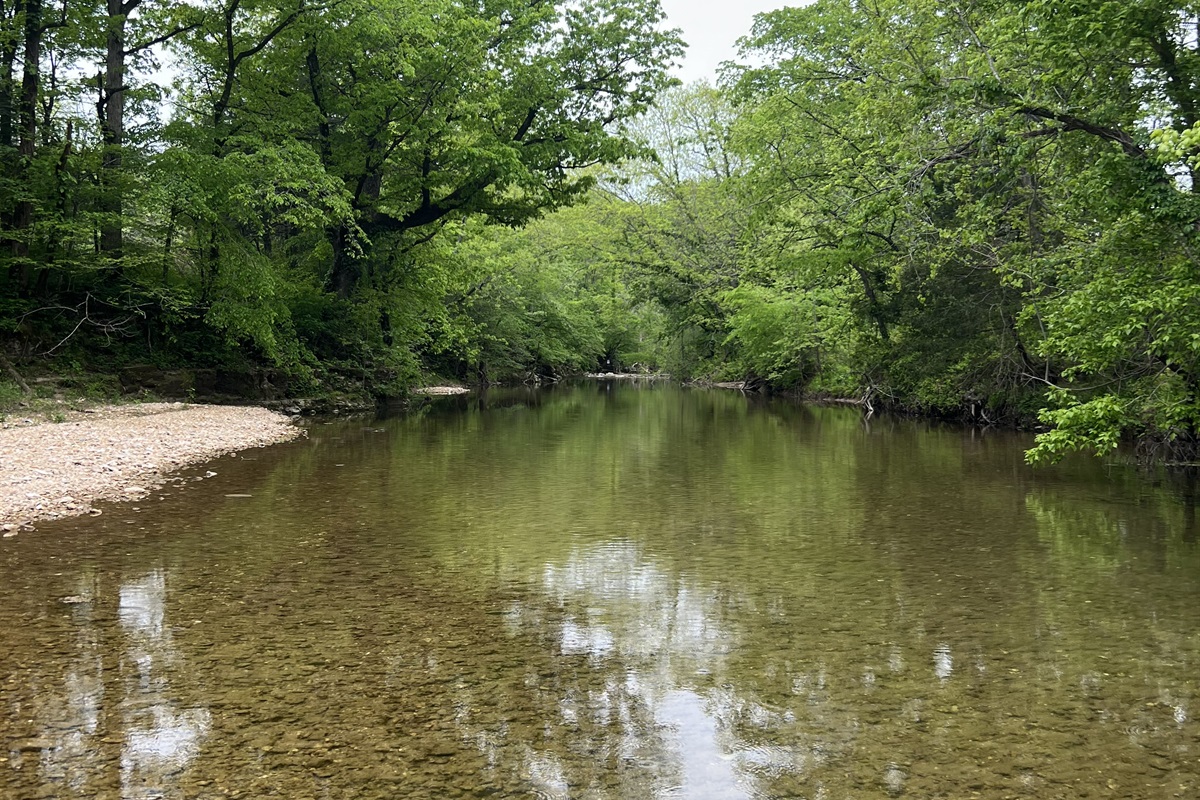 Tomahawk Creek At Nature's Loft