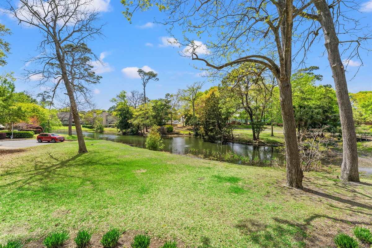 Lush Resort grounds and pathways
