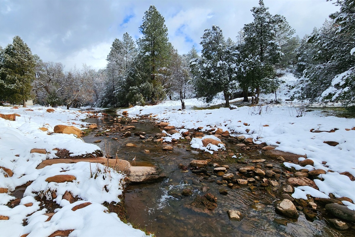 Snow-dusted pines, fresh mountain air, and hiking trails in Tonto Forest—enjoy the best of Payson’s winter beauty right outside your cabin.