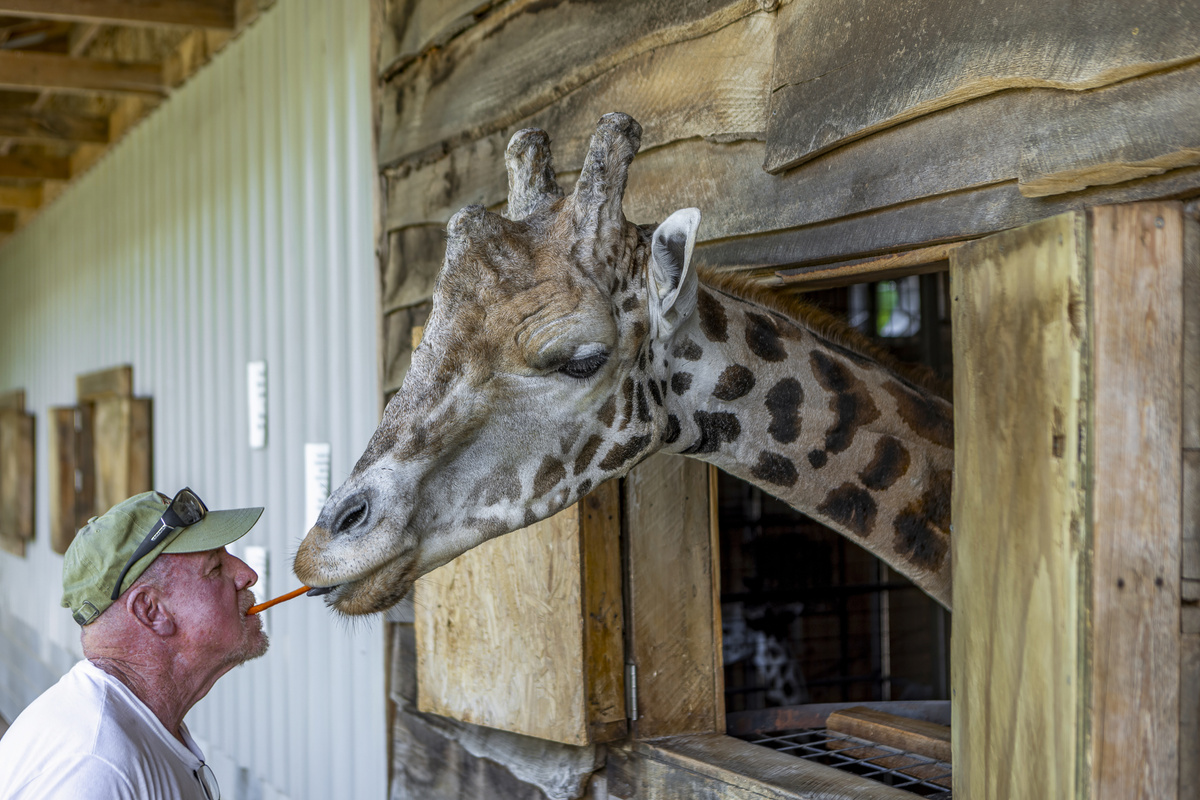 Unique Experience: Get up close and personal with local wildlife during your stay!
