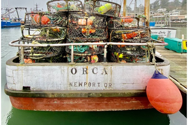 Fresh caught fish can be purchased right off the boat at the Bayfront