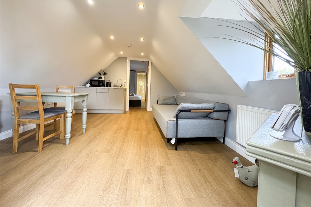Living area with dining table and kitchenette