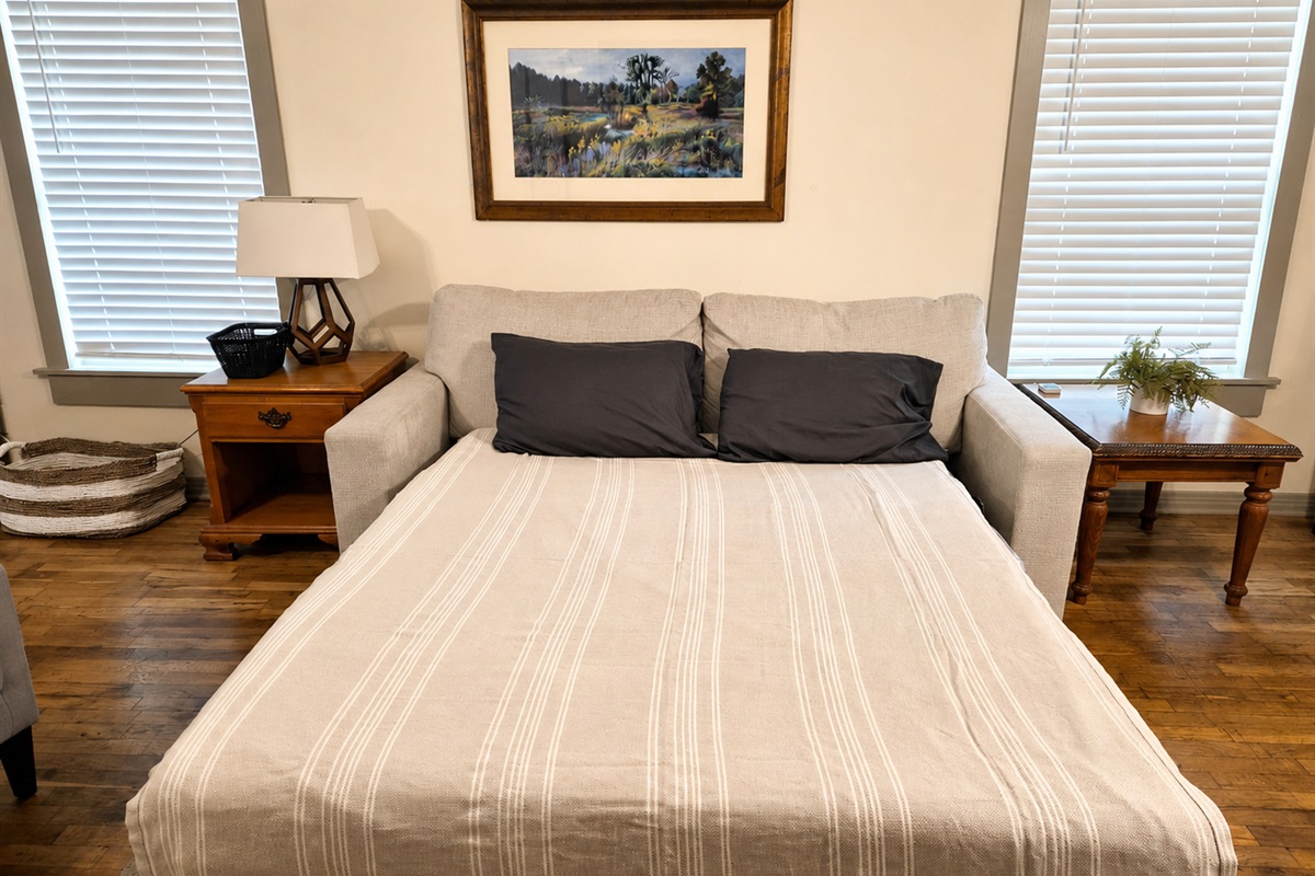 Living room couch folds out to queen bed