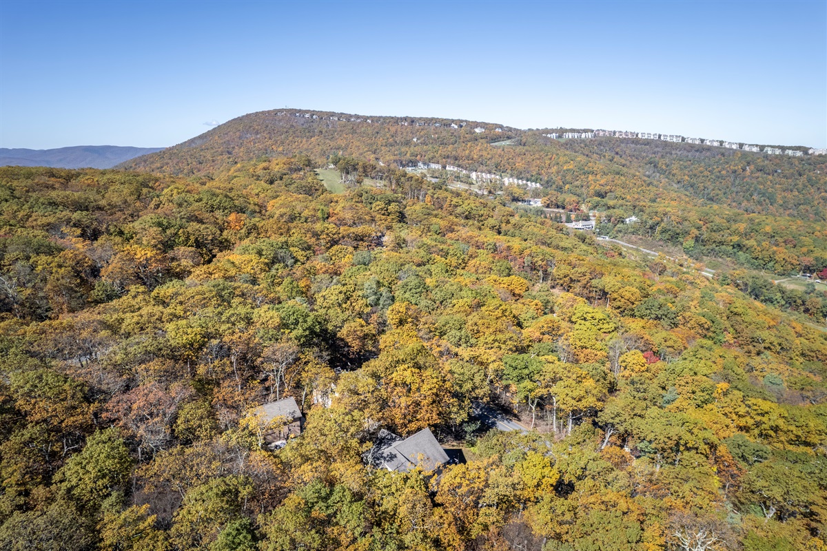 Aerial panorama captures Wintergreen’s golden ridges and forest canopy, revealing a rare view across to the far side of the resort
