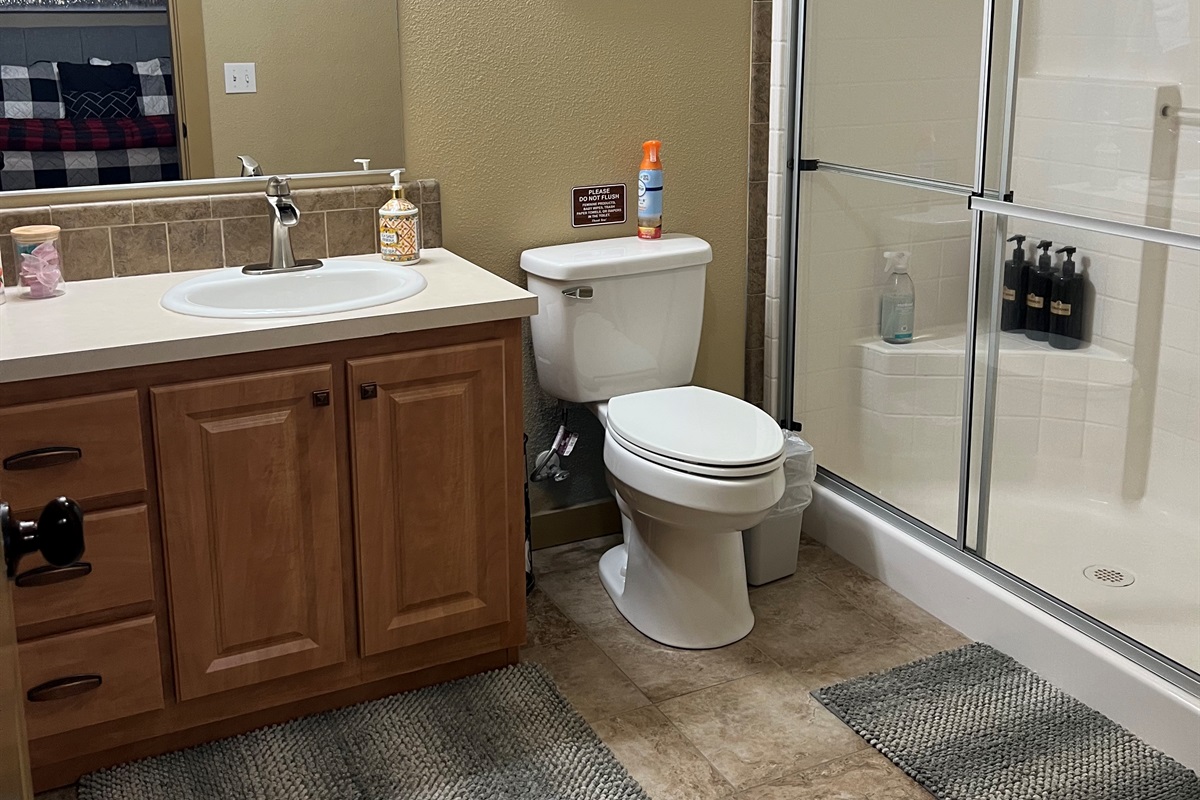 Ensuite to Bedroom 3