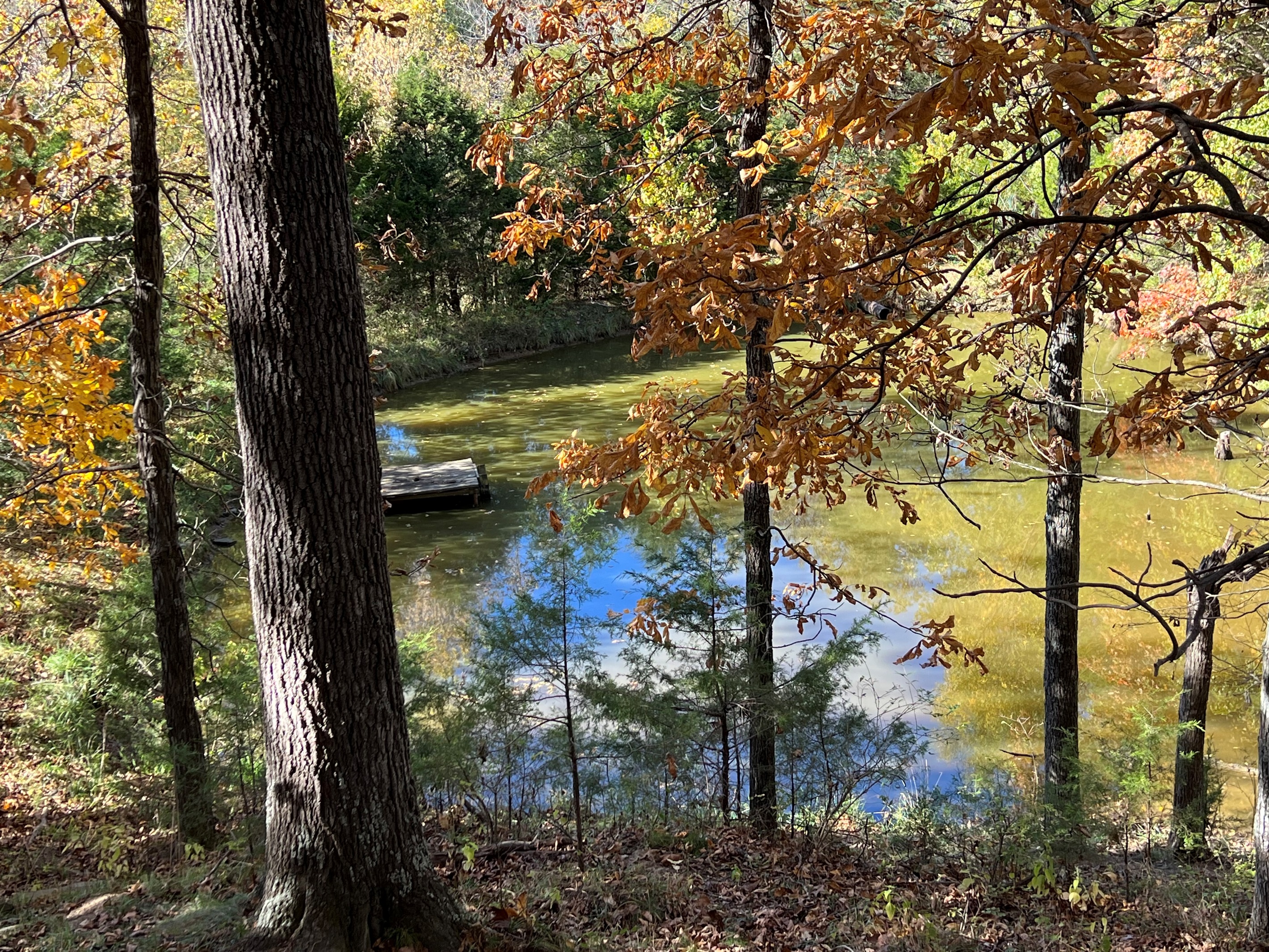 Scenic pond adds a tranquil touch to the landscape; the dock is off-limits for safety.