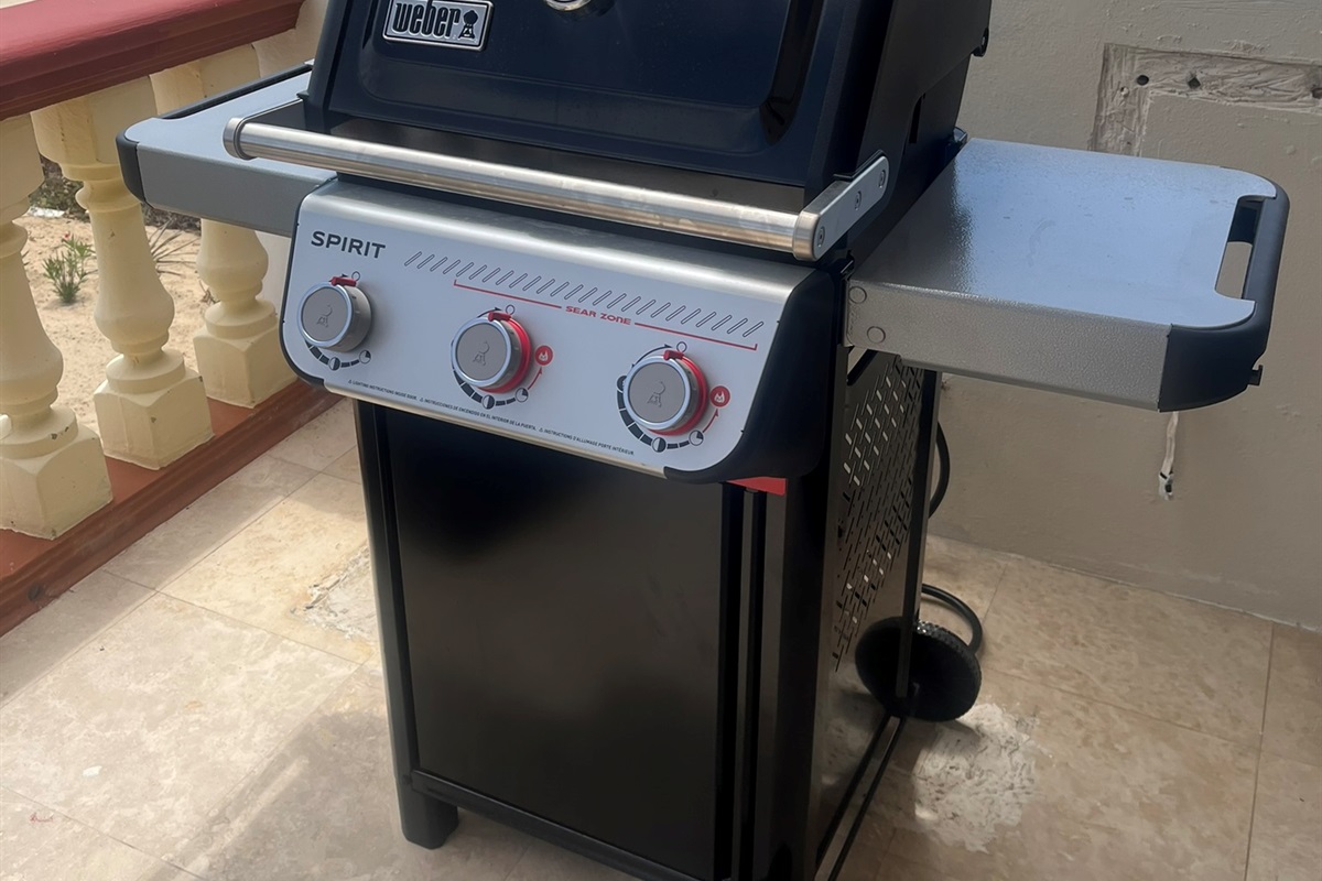 New Weber gas grill
