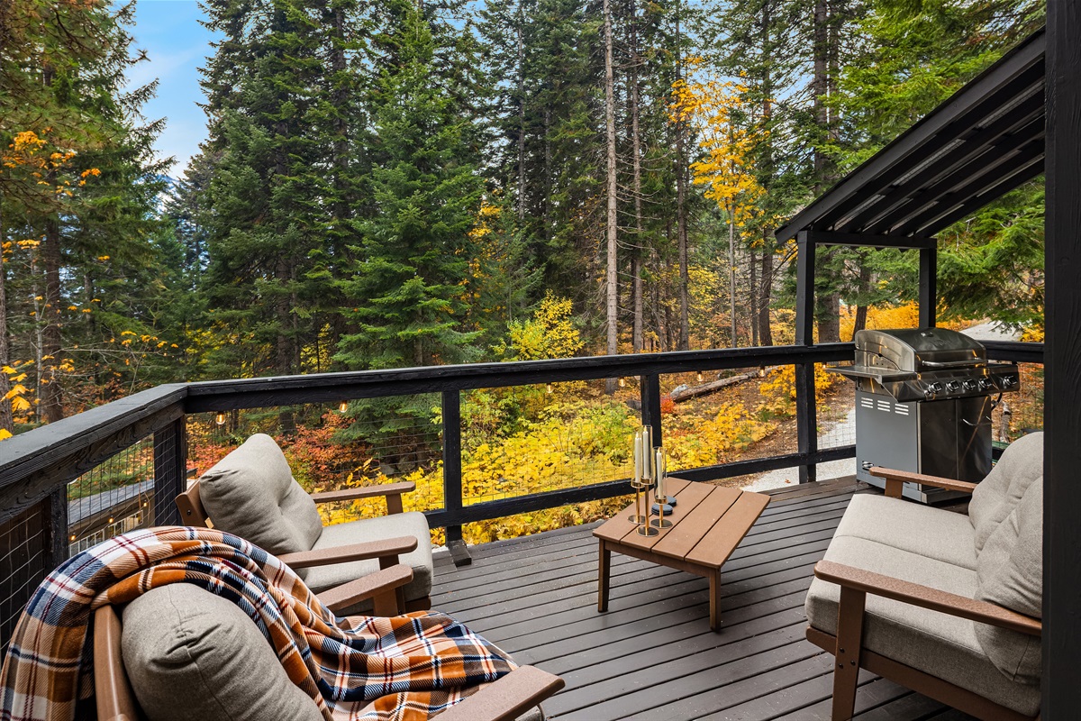 Upper deck with lounging and BBQ, propane provided