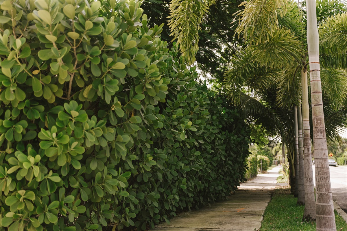 The street entrance to The Marisol Estate. Welcome!