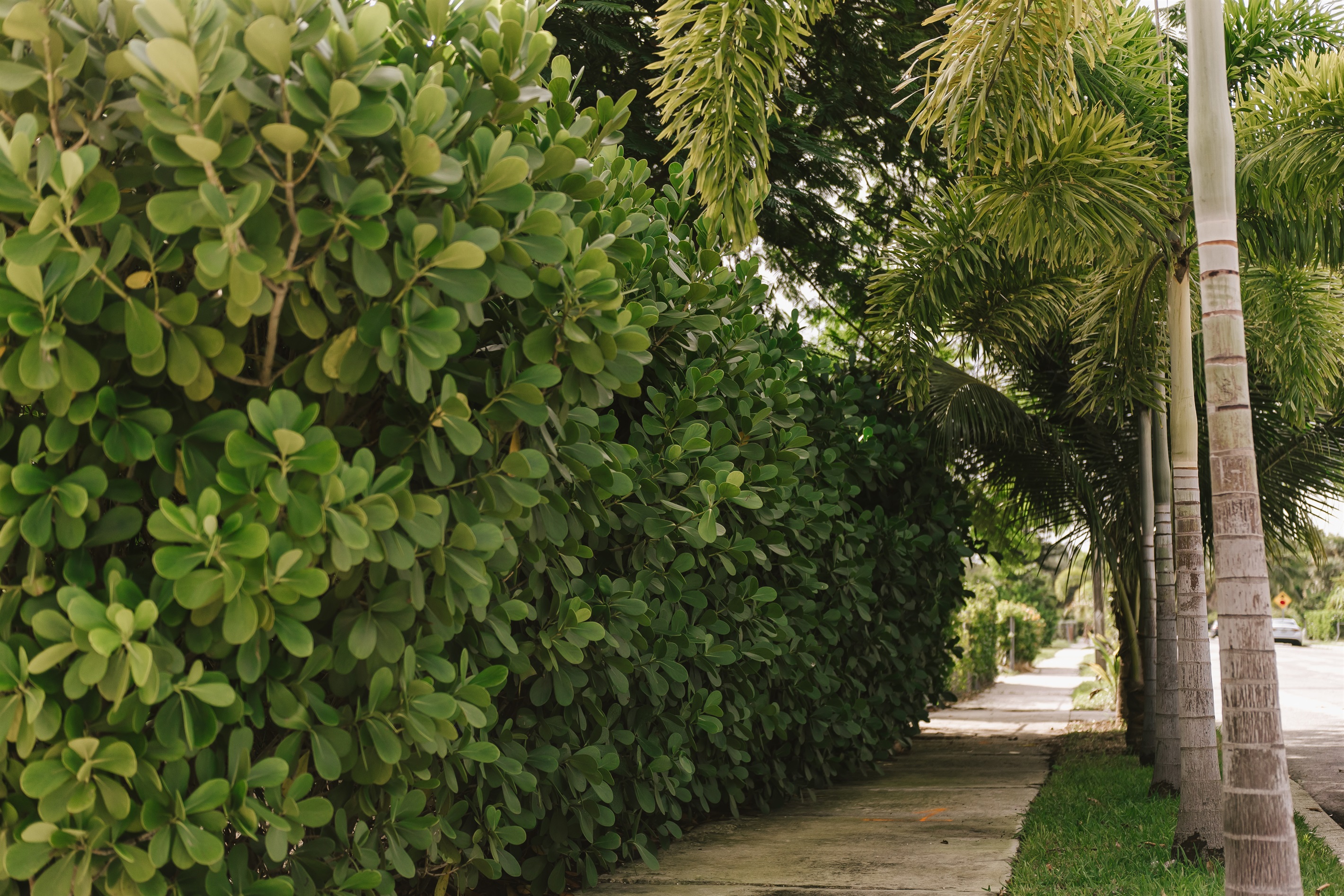 The street entrance to The Marisol Estate. Welcome!