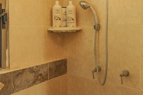 Bathroom - Master suite 