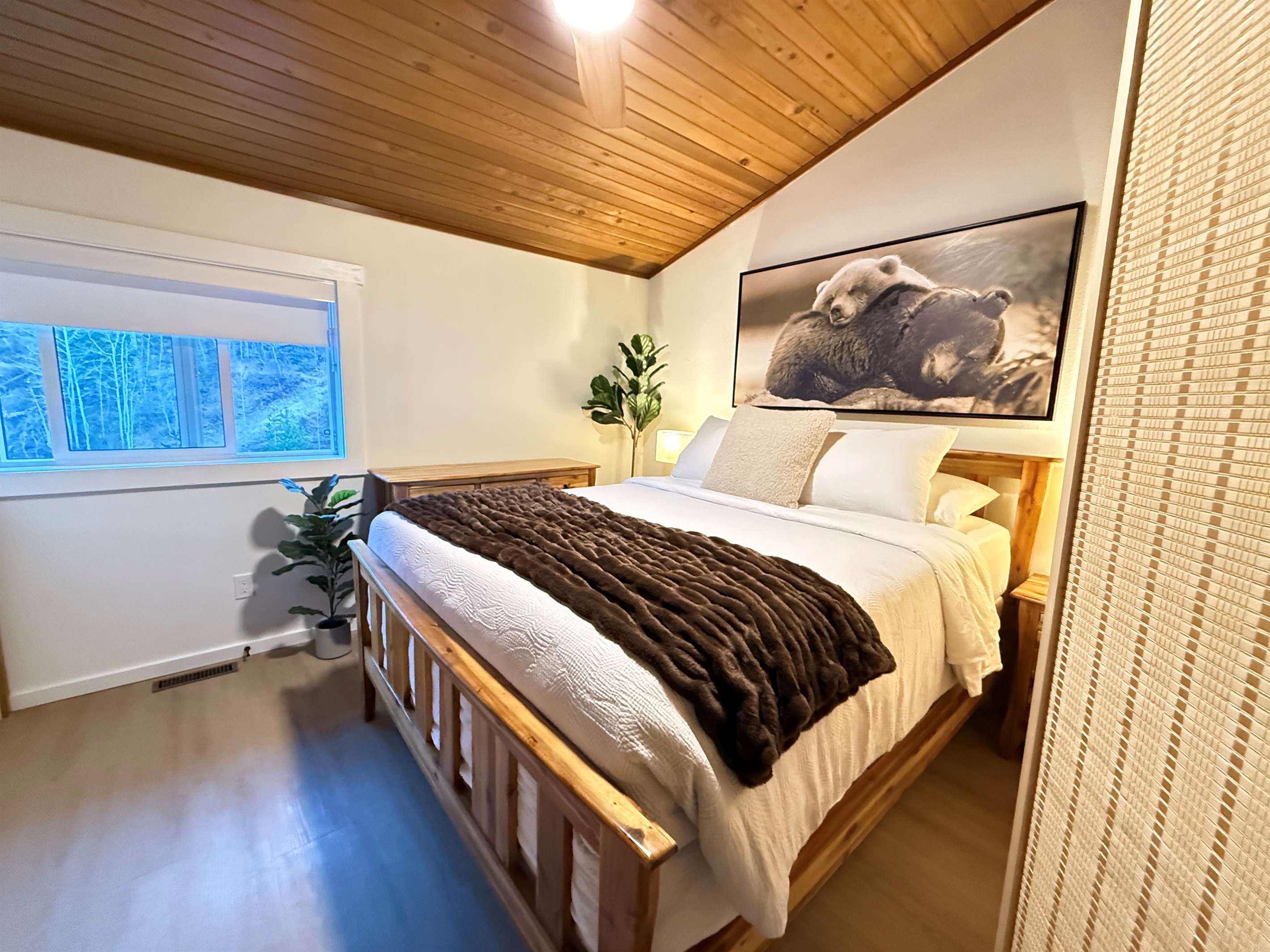 Comfortable queen size bed and an optional privacy screen for when the murphy bed is set up. 