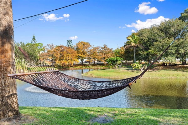 Relaxing Hammock views