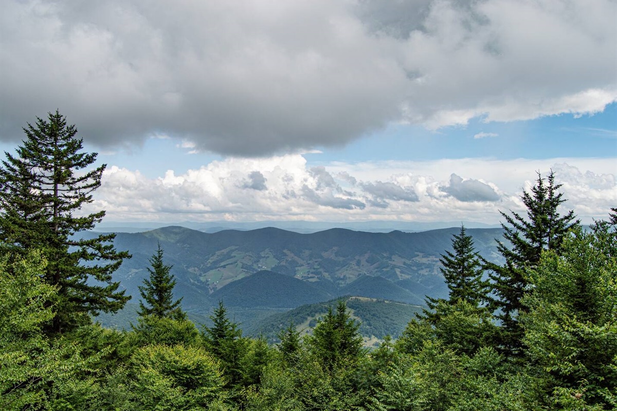 View from Whispering Spruce Trail at Spruce Knob!! (Spruce Knob is the highest point in WV). 