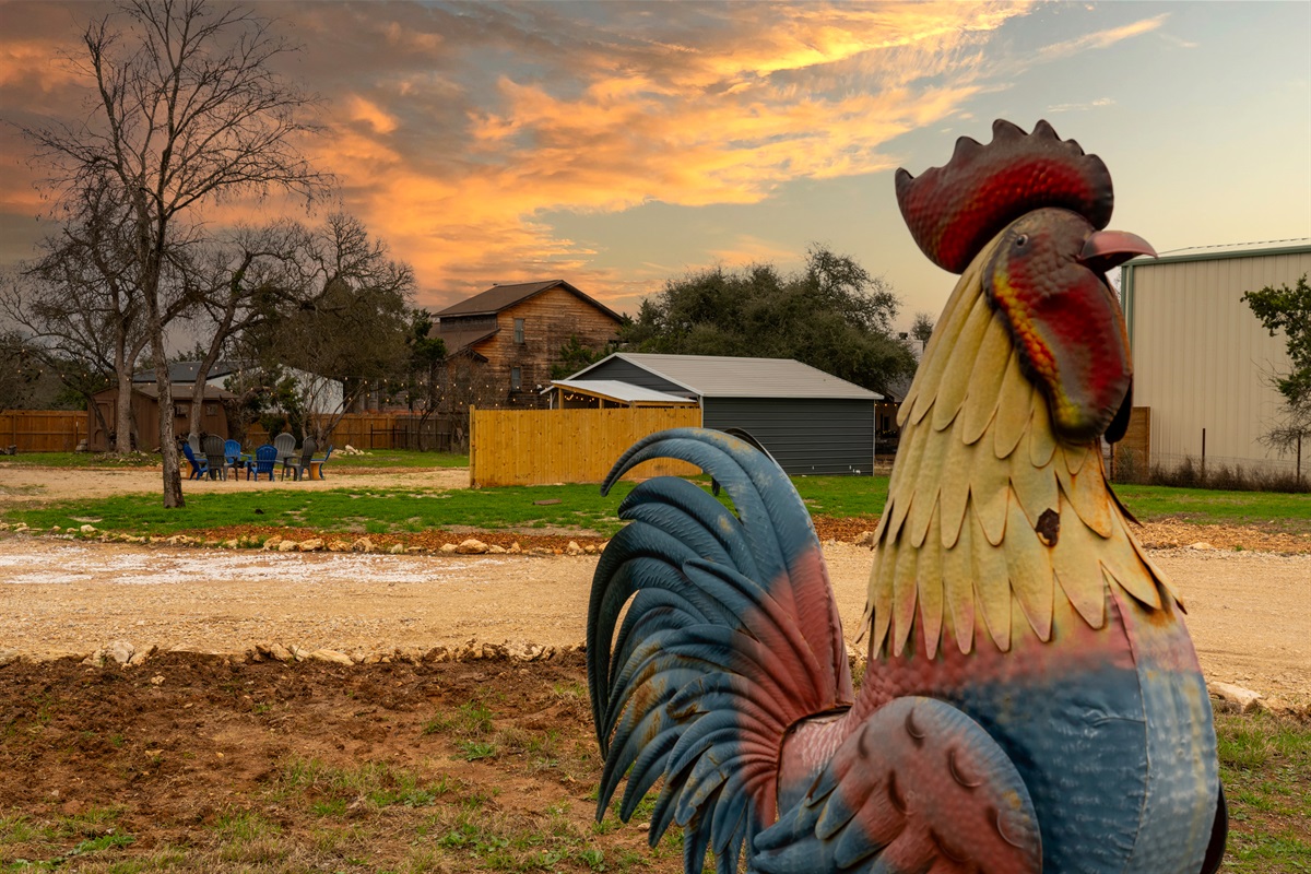 On arrival when you see the rooster you know you've arrived