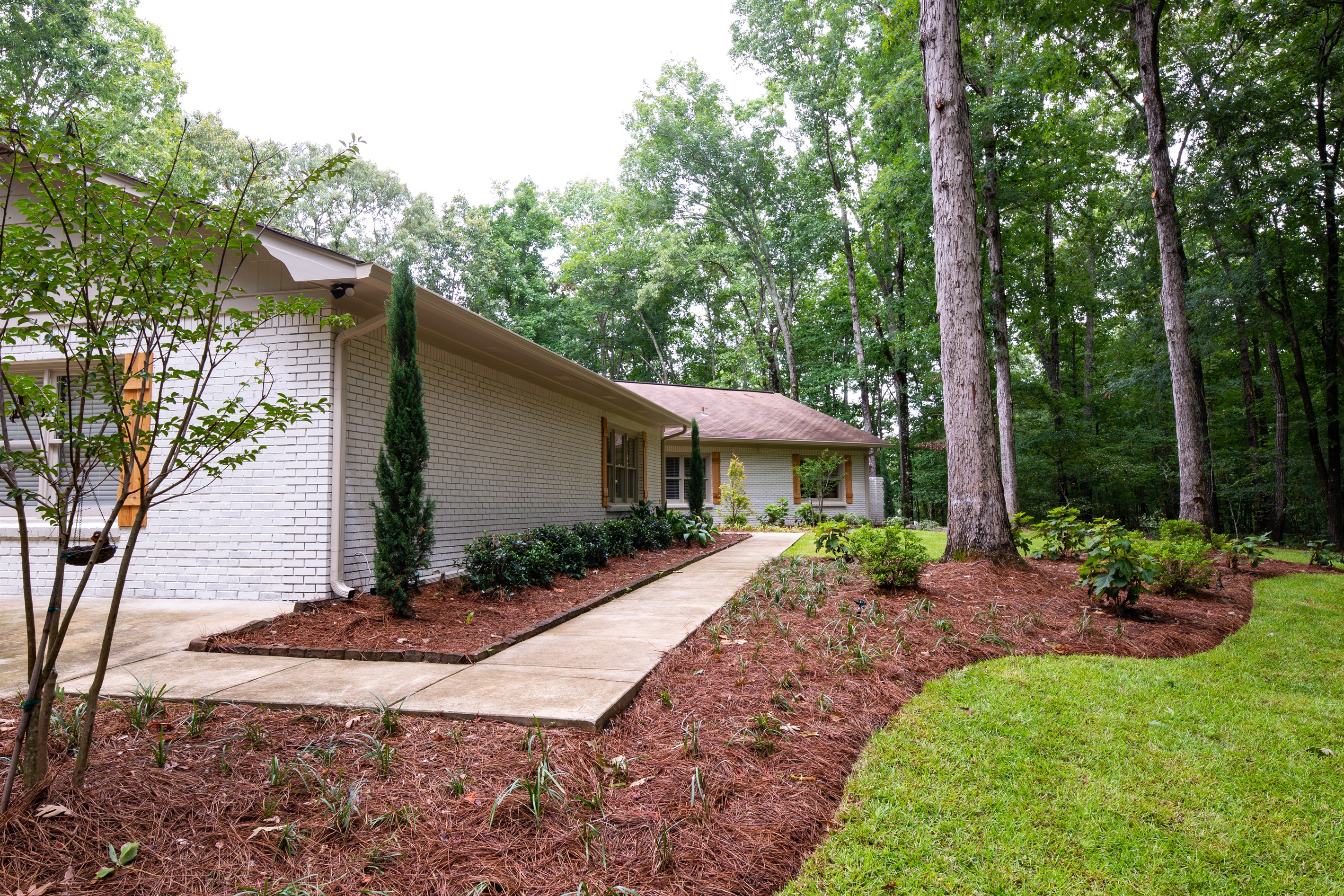 Front Yard