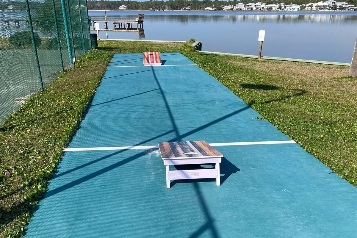 New Corn hole fun!