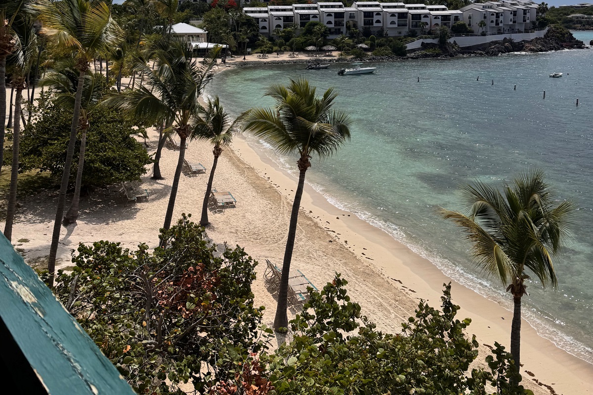 the View from the terrace