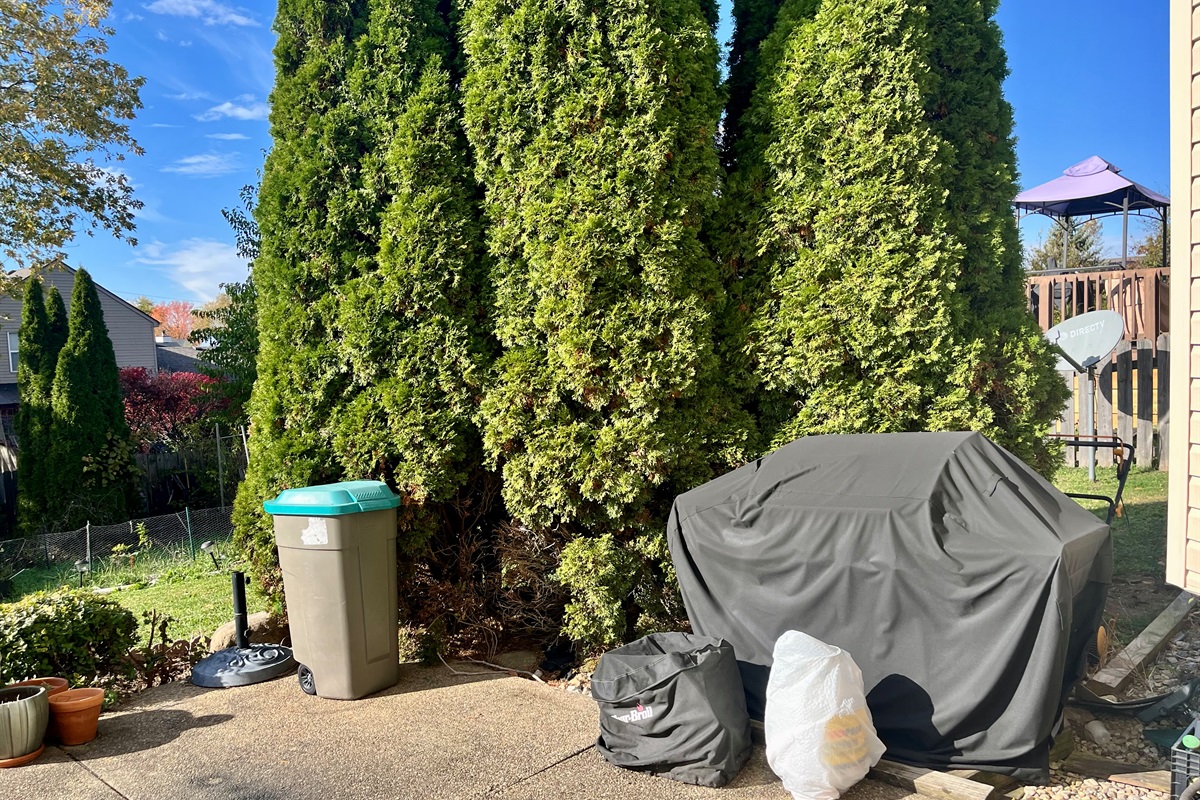Patio has a gas grill and outdoor table
