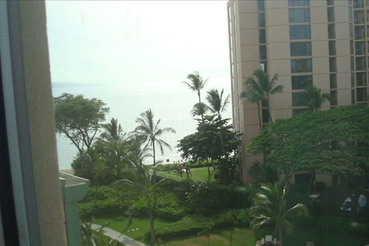 View from the bedroom