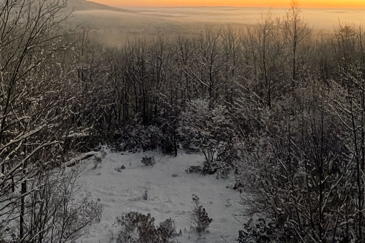 Winter sunrise views from the 9' tall primary bedroom windows.