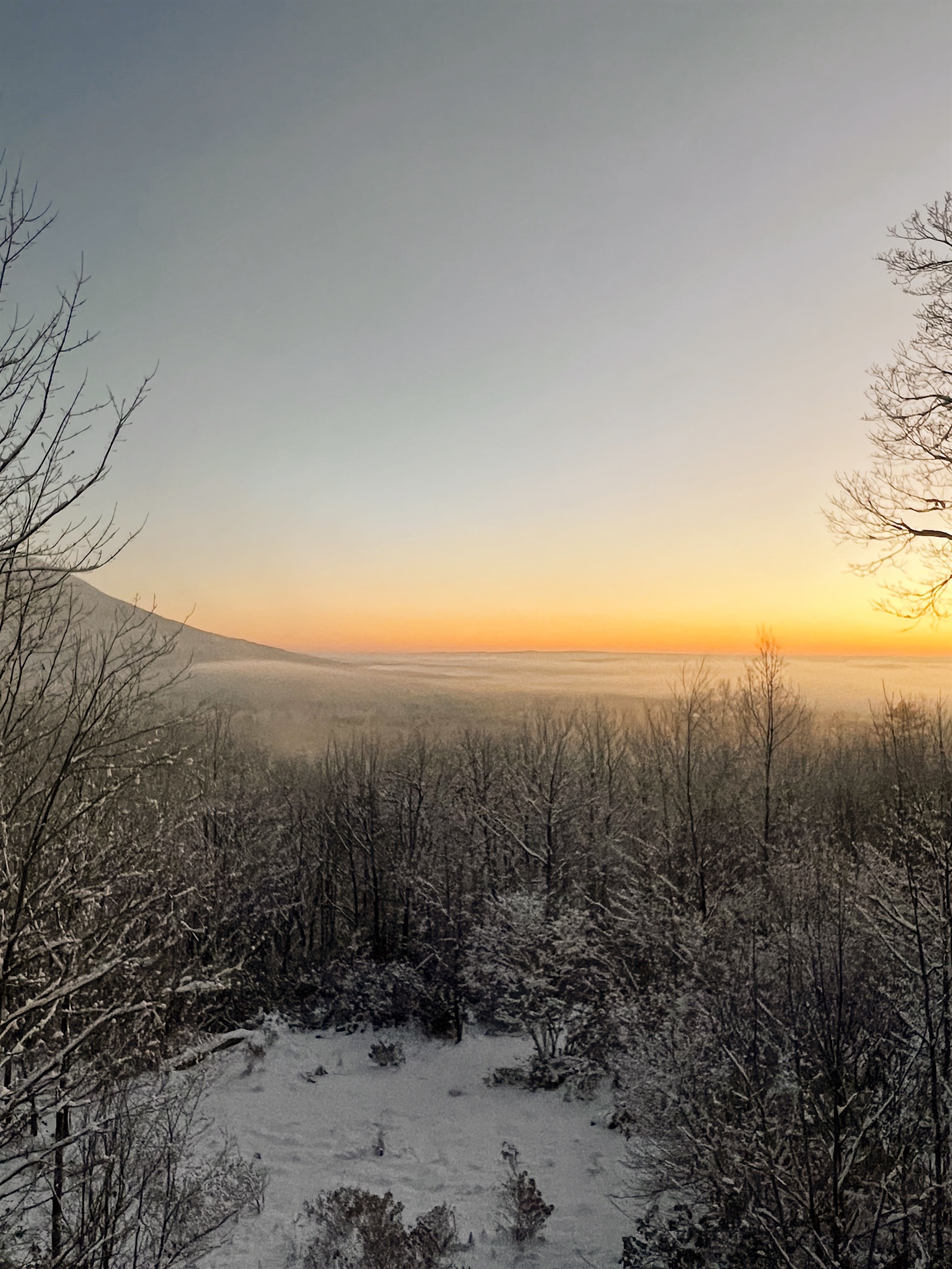 Winter sunrise views from the 9' tall primary bedroom windows.