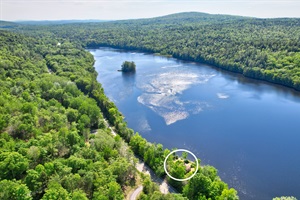 another picture of the Local loon on Long Pond!