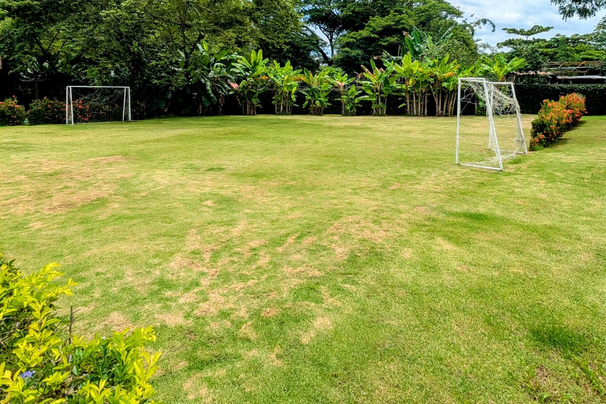 Soccer/Football field for some fun in the sun!