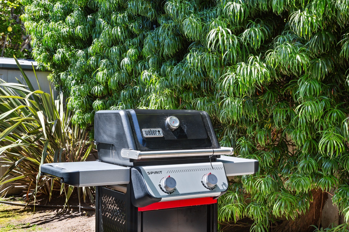 Grill and chill :)