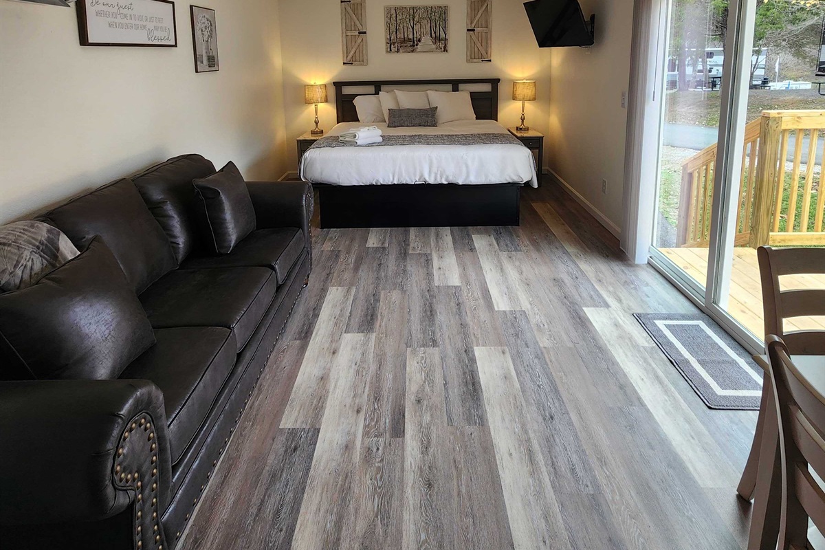 Whole Area with King Bed