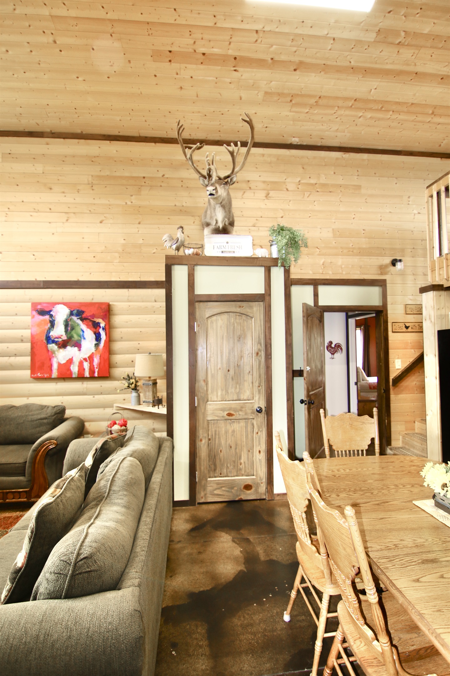 Living and Kitchen Area