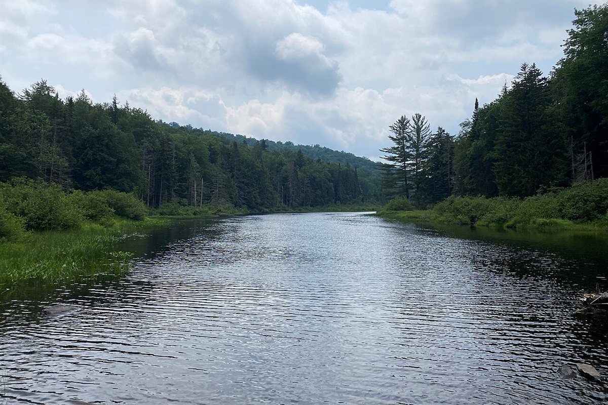 Buttermilk Falls, only 2 mi away.
Photo by TheTurducken / CC BY 2.0