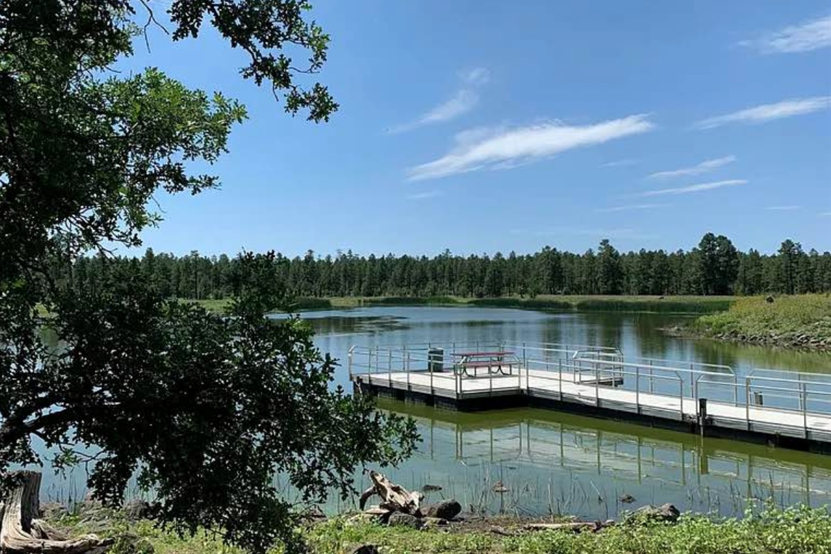 Woodland Lake offers fishing, water activities, hiking trails, mountain views, and dog-friendly paths. Nature's playground with authentic White Mountains beauty is steps from your door year-round.