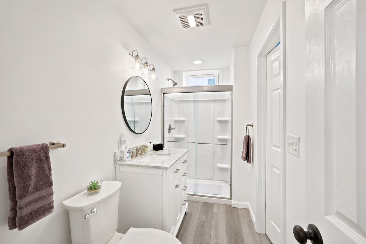 Lower Level Bathroom