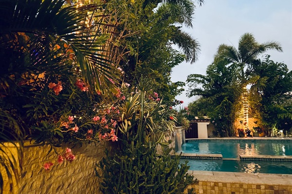 Gorgeous poolside tropical landscaping